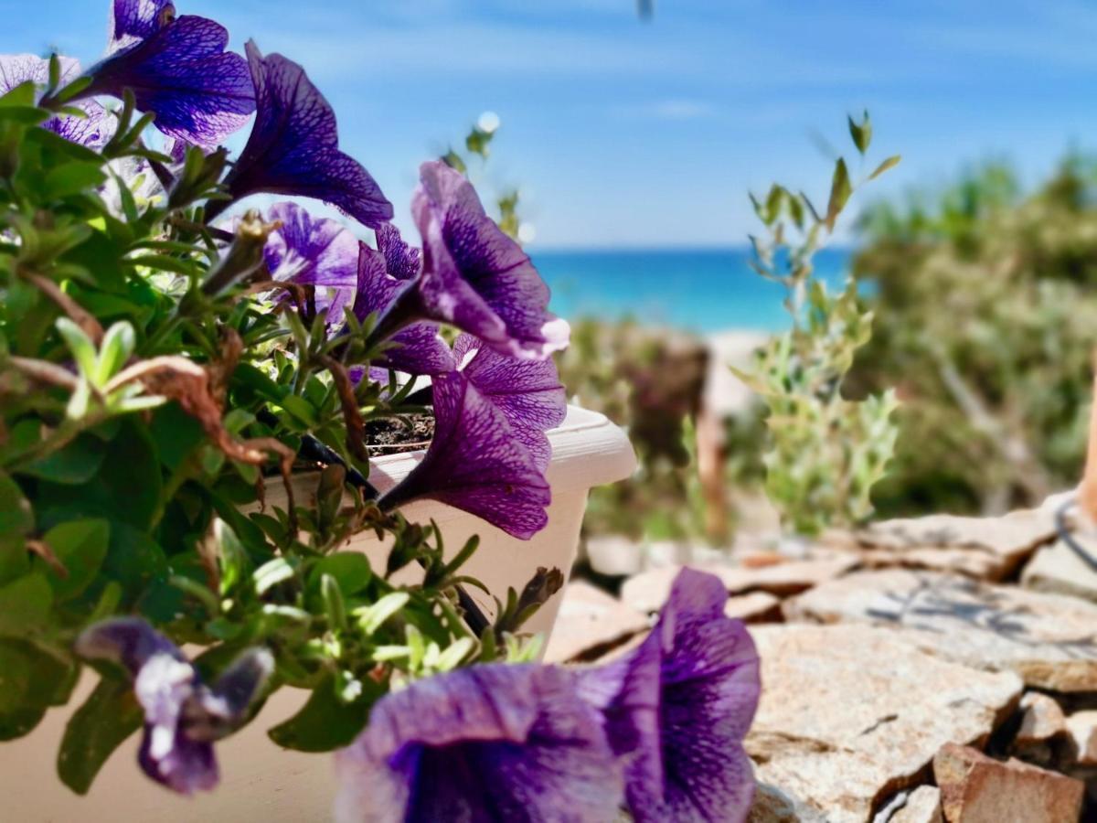 شقة Beachfront House Geremeas Sardegna المظهر الخارجي الصورة